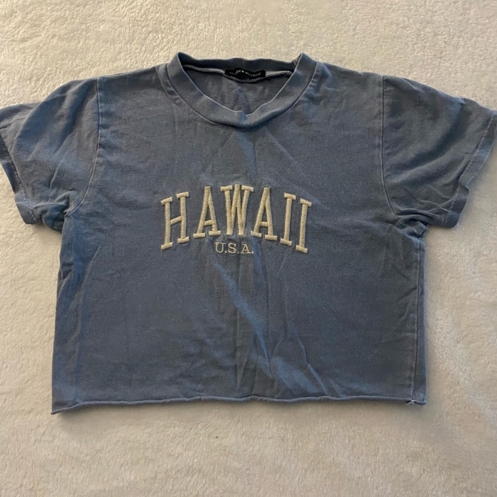 Hawaii Brandy Melville baby tee